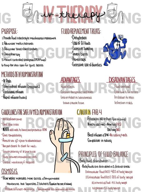 Unlock your full potential in Pathopharmacology for IV Therapy with our handmade digital nursing student notes! Our easy-to-follow, hand-drawn pictures and diagrams will help you break down and understand the confusing information in no time! **Watermark will be removed with pdf. purchase Iv Nursing Notes, Iv Therapy Nursing Notes, Nursing School Studying Cheat Sheets, Nursing School Inspiration, Student Notes, Nursing School Essential, Shorts Female, Nursing School Motivation, Nurse Study Notes