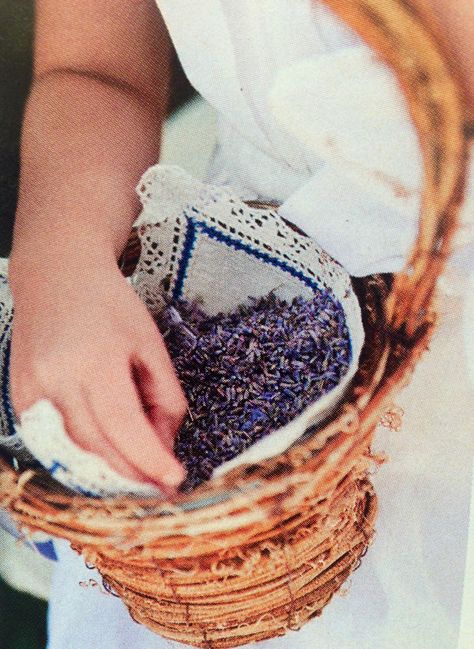 Flower girl throwing lavender rather than petals. Cool idea! Would work best for an outdoor wedding. Congolese Wedding, Lavender Confetti, Lavender Toss, Bff Wedding, Wedding Throw, Lavender Wedding Flowers, Lavender Petals, Flower Pedals, Growing Lavender