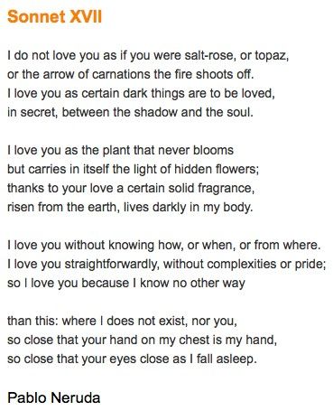 Sonnet XVII by Pablo Neruda (English) Neruda Quotes, Love Is Comic, Pablo Neruda, A Poem, Bukowski, More Than Words, Wonderful Words, Poetry Quotes, Love Poems