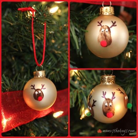 Thumbprint Ornaments, Reindeer Thumbprint, Gifts To Grandparents, Christmas Ornaments Homemade Kids, Rudolph Christmas, Kids Christmas Ornaments, Preschool Christmas, Kids Ornaments, Christmas Ornaments Homemade