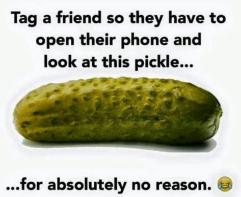 Friend Memes Funny, National Pickle Day, Terrible Memes, Ally Dawson, Dill Pickle Recipe, Funny Content, Top Cat, Funny Pictures With Captions, Bad Memes