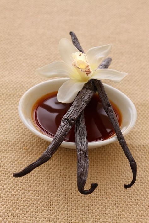 Is Vanilla Extract Gluten Free? Grow Vanilla Beans, Make Vanilla Extract, Vanilla Bean Powder, Madagascar Vanilla Beans, Vanilla Beans, Madagascar Vanilla, Instant Recipes, Homemade Vanilla, Vanilla Sugar