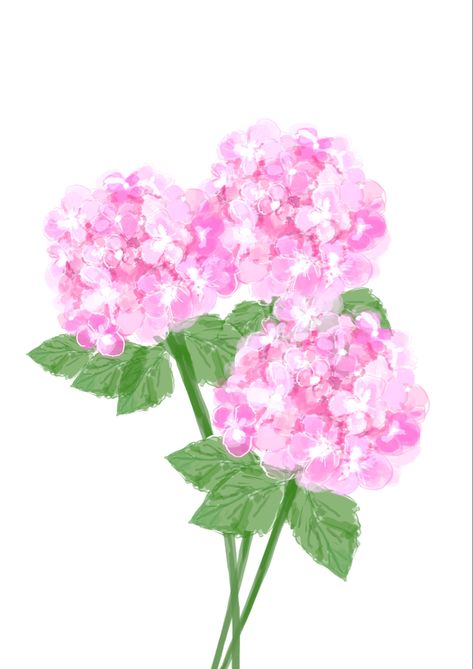 How To Draw A Hydrangea, Water Colors For Beginners, Hydrangea Illustration, Hydrangea Clipart, Feminine Home Decor, Pink Floral Art, Bird Illustration Print, Hydrangea Wall, Hydrangea Wall Art