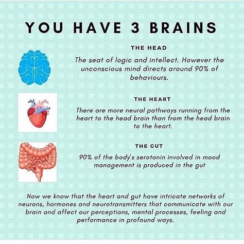 ▶️ You Have 3 Brains! ▫️ Although the head, heart, and gut brains work together, they have obvious different physical functions and they also perform different mental and emotional roles. ▫️ The head brain analyzes information and applies logic. The heart-brain senses the world through emotion and feelings. ▫️ The gut brain is used for understanding our identity and who we are in the world. The gut-brain also helps us learn self-preservation by teaching us to follow our instinct – the “gut feeli Brain Facts, Gut Brain, Mental And Emotional Health, Self Care Activities, Health Info, Holistic Healing, Brain Health, Health Facts, Health Awareness