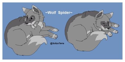 Wolf Spider Curled up Spider Wolf Hybrid, Wolf Spider Oc, Wolf Spider Art, Wolf Spider Drawing, Wolf Spider, Wolf Hybrid, Hybrid Art, Spider Art, Wolf Art