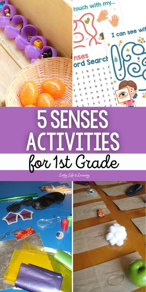 5 Senses Activities for 1st Grade Human Body Lesson, 5 Senses Activities, Earth Science Lessons, Elementary Science Activities, Homeschool Science Curriculum, Senses Activities, Sense Of Sight, Homeschool Elementary, 5 Senses