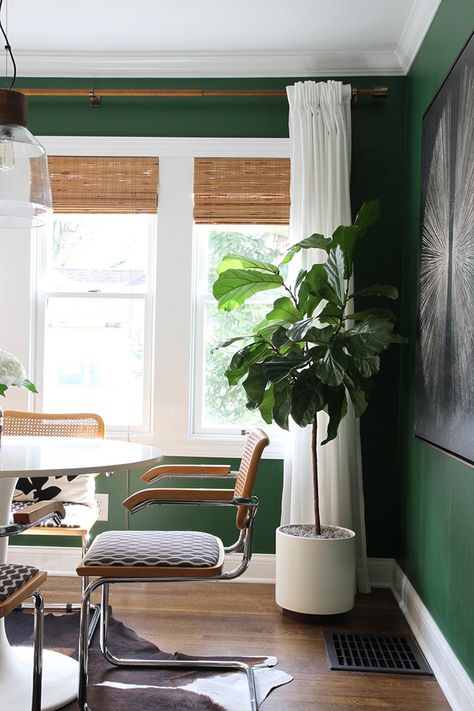 Bamboo Roman Shades - Room for Tuesday House Tweaking, Room For Tuesday, Cantilever Dining Chair, Green Walls, White Curtains, Design Sponge, Faux Plants, Green Wall, Roman Shades