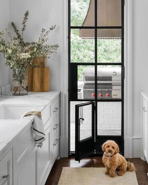 Animal Room, Dog Rooms, Style Deco, Dog Door, Kitchen Doors, Dog Sitting, Custom Home Builders, Creative Home, House Inspo