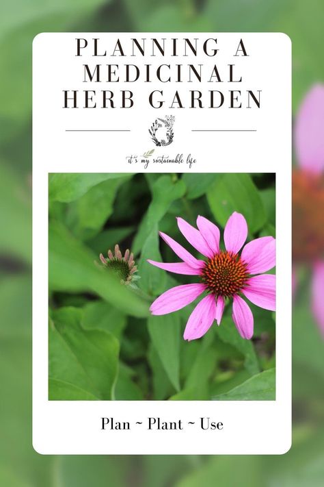 Medicinal Herb Garden Layout, Herb Garden Layout, Homesteading Inspiration, Medicinal Herb Garden, Garden 101, Medicine Garden, Homestead Gardening, Homestead Blog, Medicinal Herbs Garden