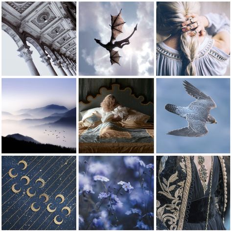 Dragon Moodboard, Fantasy Moodboard, Aemma Arryn, House Arryn, Character Bank, Moodboard Inspo, Adopt Idea, Make Your Own Character, Beyond The Horizon