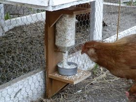 Our Bit of Dirt: Egg Shell Dispenser Chicken Coop Enrichment Ideas, Chicken Poop Catcher, Diy Chicken Waterer, Chickens 101, Chicken Feeder Diy, Cute Chicken Coops, Chicken Coup, Diy Chicken Coop Plans, Coop Ideas