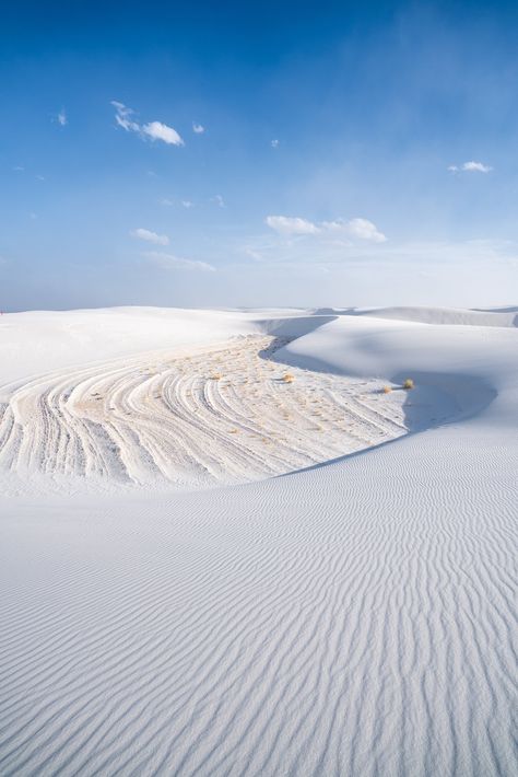 Best Things to Do in White Sands National Park White Sands New Mexico, White Sands National Park, White Sands National Monument, Long Trail, Day Hike, Sand Dunes, White Sand, Road Trips, New Mexico