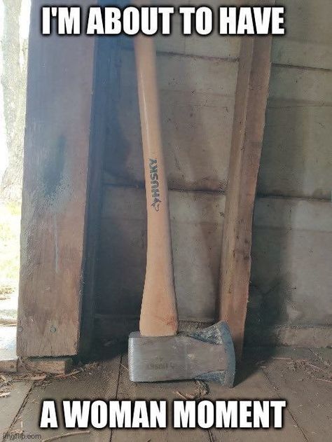 a picture of an axe with a text overlay that says "i'm about to have a woman moment" Miss Americana, Memes Lol, Girl Memes, A Silent Voice, Im Going Crazy, New Energy, Silly Me, Lose My Mind, Just Girly Things