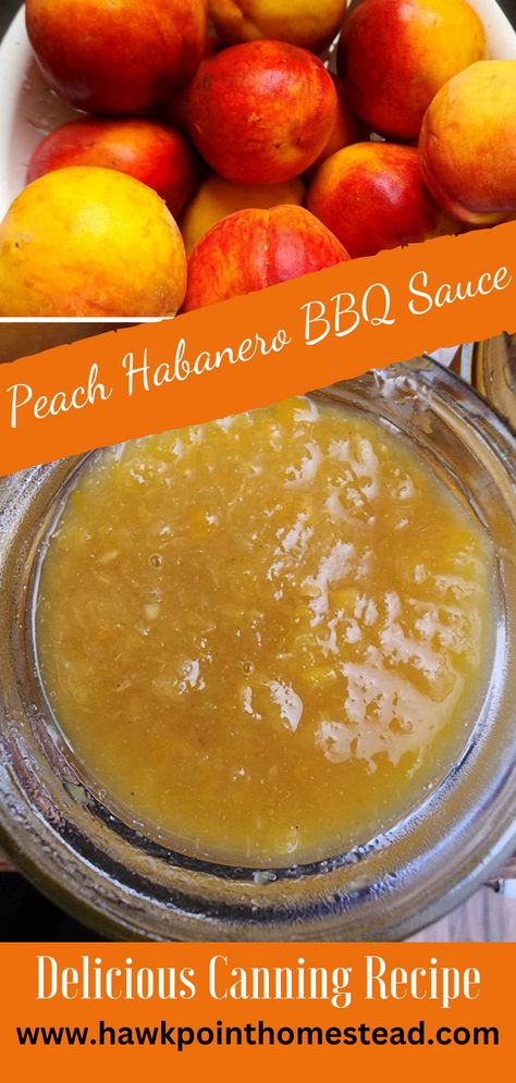 This recipe for peach habanero BBQ sauce recipe for canning is a delicious and wonderful twist on traditional barbecue sauce. The peach gives it a sweet flavor and combined with tangy flavor of the habaneros make it a taste out of this world. The delicious flavor pairs perfectly with grilled meats like ribs, chicken and pork. This sweet BBQ sauce with its little bit of heat has an interesting flavor that can be made more spicy or less spicy. Peach Habenero Recipes, Peach Habanero Bbq Sauce, Peach Bbq Sauce Recipe Canning, Bbq Sauce Canning, Peach Bbq Sauce Recipe, Habanero Bbq Sauce, Bourbon Bbq Sauce Recipe, Canned Cranberries, Dill Pickle Recipe