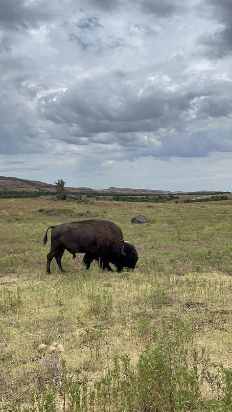 Oklahoma Road Trip, Wichita Mountains Oklahoma, Wichita Mountains, Usa Roadtrip, Midwest Travel, Road Trip Destinations, Hiking Trail, Road Trip Usa, Pretty Places