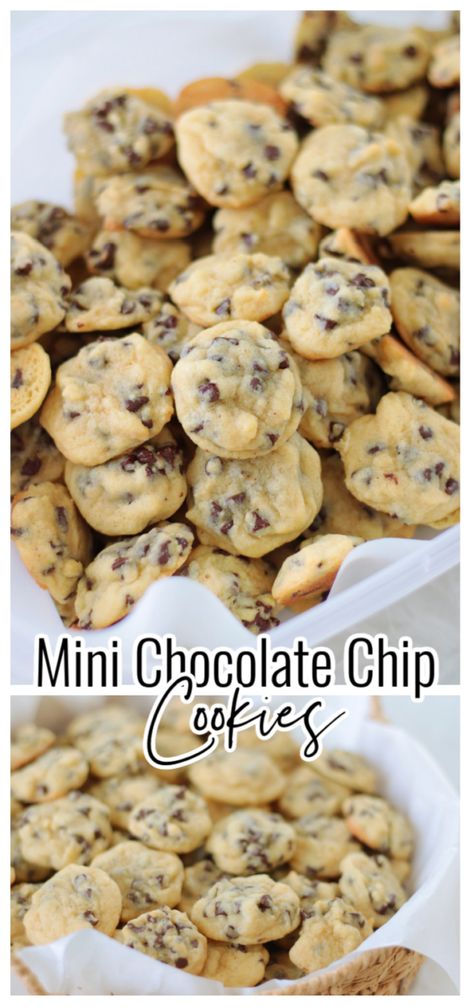 Mini chocolate chip cookies because everything in miniature is better! Loaded with mini chocolate chips these are so fun to eat! One batch makes 12 dozen. Cookie Recipe No Chocolate Chips, Mini Chocolate Chip Cookies With Pudding, Chocolate Chip Roll Out Cookies, Icing For Chocolate Chip Cookies, Mini Snickerdoodle Cookies, Costco Mini Chocolate Chip Cookies, Easy Baking For Beginners, Small Chocolate Chip Cookie Recipe, Panera Chocolate Chip Cookies