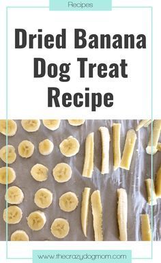 Banana Dog Treat Recipe, Pet Treats Recipes, Banana Treats, Dog Treat Recipe, Dog Treats Homemade Easy, Easy Dog Treat Recipes, Dog Biscuit Recipes, Easy Dog Treats, Healthy Dog Treats Homemade