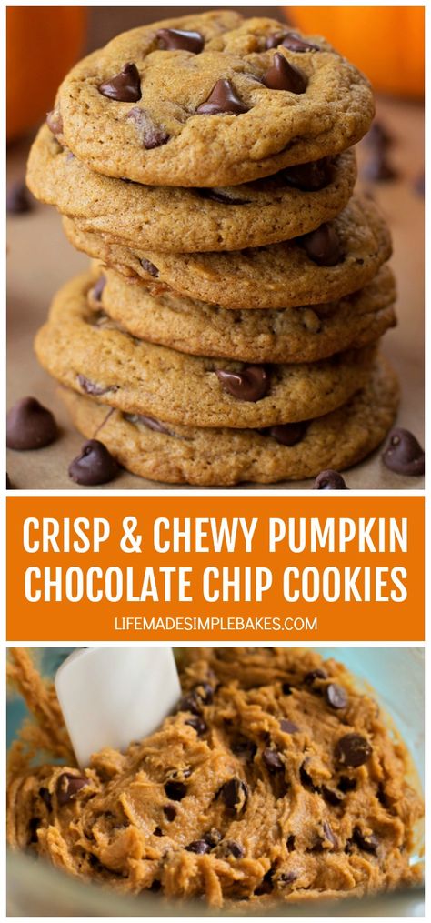 Pumpkin Chocolate Chip Cookies Recipe, Pumpkin Cookies Healthy, Pumpkin Cookies Easy, Cookie Crisp, Mini Pumpkin Pies, Chocolate Pumpkin, Chocolate Chip Cookies Recipe, Chewy Sugar Cookies, Pumpkin Pies