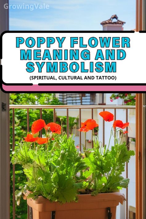 Poppy Flower Meaning Tattoo Poppy Flower, Poppy Flower Meaning, Poppy Tattoos, Growing Poppies, Eternal Sleep, Tattoos And Their Meanings, Tattoo Store, Poppies Tattoo, Popular Flowers