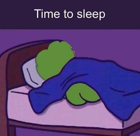 Sleep Reaction, What The Frick Frack Diddly Dack, Cartoon Profile Pics Funny, Peepo Frog, Profile Pics Funny, Sleep Meme Funny, Goodnight Everyone, Spongebob Funny, Funny Reaction