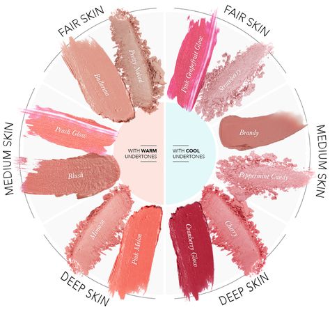 Blush Chart, Beauty Recommendations, Makeup Tips To Look Younger, Lipstick Colours, Collage Illustrations, Skin Tone Makeup, Beauty Journal, Best Highlighter, Skin Undertones