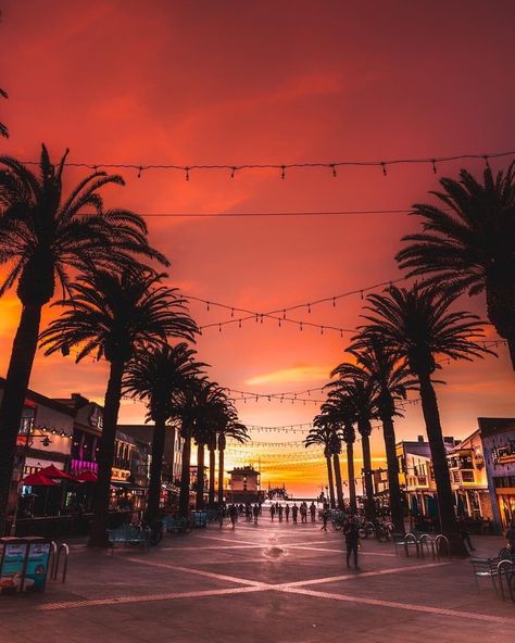 Hermosa Beach pier sunset Pier Aesthetics, Zepeto Background Aesthetic Beach, Sunset Los Angeles, Hermosa Beach Pier, Hermosa Beach California, Los Angeles Pictures, Pier Sunset, Breathtaking Sunsets, La Jolla Cove