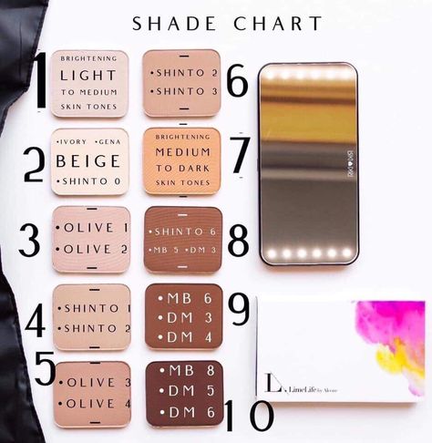 Alcone Makeup, Using Concealer, Concealer Palette, Olive Skin Tone, Medium Skin Tone, Beauty Guide, Oil Shop, Eye Concealer, Perfect Foundation