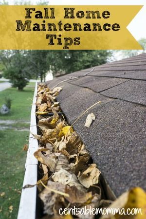 As fall quickly approaches, there are a few chores you need to do around the house to get ready for winter. Check out these 9 Fall Home Maintenance Tips to help you get the jobs done. Fall Home Maintenance, Home Maintenance Tips, Dusting Spray, Fall Cleaning, Cleaning Gutters, Household Tips, Fall Home, Home Repairs, Protecting Your Home