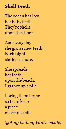 Seashells On the Beach | The Poem Farm: Shell Teeth - The Private Eye | growing poetry and ... Childrens Poems, Ocean Unit, Childrens Poetry, Poetry For Kids, Kids Poems, Ocean Quotes, The Poem, I Love The Beach, Beach Please