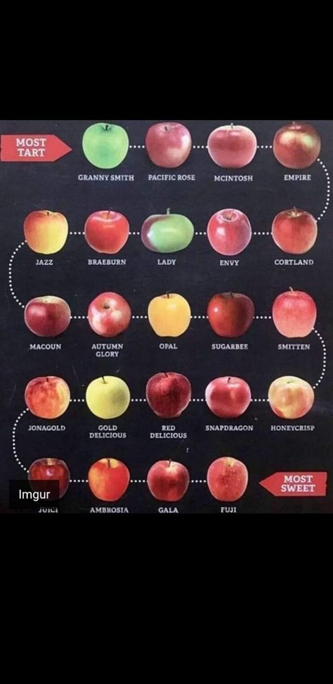 (4) Facebook Apple Uses, Apple Chart, Apple Dishes, Apple Types, Fermentation Recipes, Apple Varieties, Baking Substitutes, Eat The Rainbow, Baking Sweets