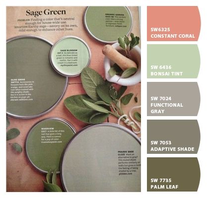 Paint colors from ColorSnap by Sherwin-Williams Sage Green Paint Color, Sage Green Paint, Green Palette, Green Paint Colors, Better Homes And Garden, Interior Paint Colors, Interior Design Diy, Toy Rooms, Diy Interior