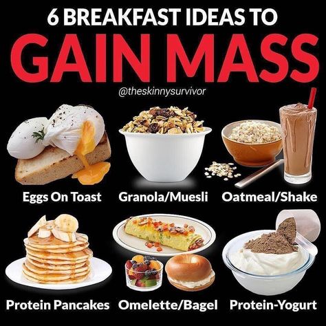 Oatmeal Protein Shake, Oatmeal Shake, Healthy Weight Gain Foods, Food To Gain Muscle, Gain Mass, 100 Calorie, Weight Gain Meals, Yummy Healthy Breakfast, Weight Gain Meal Plan