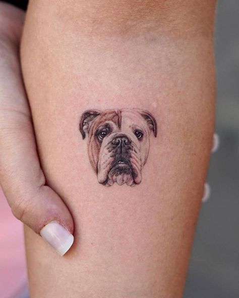 American Bulldog Tattoo, Geometric Dog Tattoo, Boston Terrier Tattoo, Corgi Tattoo, Chihuahua Tattoo, Doberman Tattoo, Pitbull Tattoo, Bulldog Tattoo, Geometric Dog