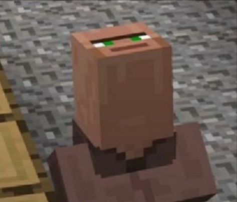 Funny Minecraft Pictures, Minecraft Funny Villager Memes, Minecraft Pp, Villagers Minecraft, Villager Minecraft, Minecraft Pfp, Village Minecraft, Minecraft Icon, Minecraft Villager