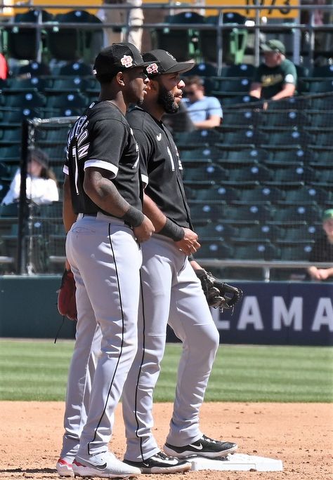 Tim Anderson, Baseball Cup, Baseball