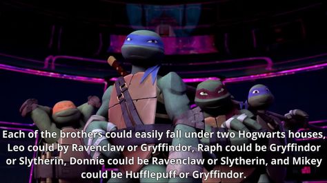 “ 40 - Each of the brothers could easily fall under two Hogwarts houses, Leo could be Ravenclaw or Gryffindor, Raph could be Gryffindor or Slytherin, Donnie could be Ravenclaw or Slytherin and Mikey could be Hufflepuff or Gryffindor. ” Submitted by... Tmnt Headcanons, Turtle Facts, Turtles Forever, Tmnt Characters, Ninja Turtles Funny, Turtles Funny, Tmnt Artwork, Teenage Ninja, Teenage Ninja Turtles