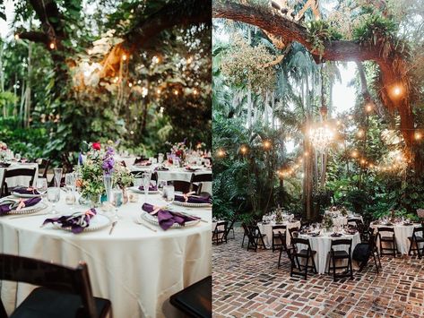 Sunken Garden Wedding, Sunken Gardens St Petersburg Wedding, Sunken Gardens Wedding, Reception Theme, Small Beach Weddings, Sunken Gardens, Tampa Wedding Venue, Stars Wedding, Samantha Wedding