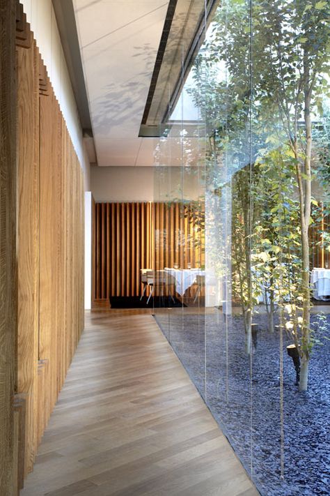 Celler de Can Roca by Sandra Tarruella Interioristas Terrasse Design, Internal Courtyard, Glass Walls, Patio Interior, Japanese Interior, Courtyard House, Restaurant Interior Design, Glass House, A Restaurant