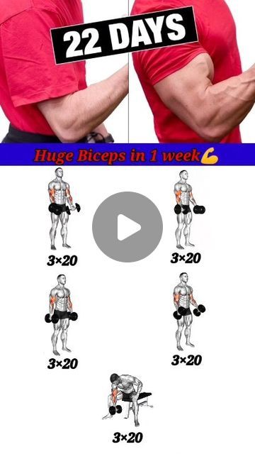 Biceps Workout At Home, Big Biceps Workout, Huge Biceps, Big Biceps, Abs And Cardio Workout, Biceps Workout, January 12, Cardio Workout, At Home Workouts