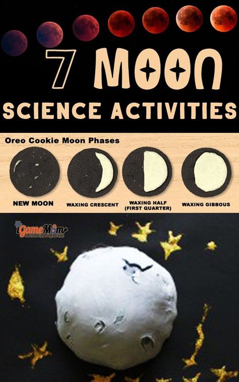 Moon Science Activities Kids Love: why we always see the same face of the moon, Moon phases with Oreo, How does moon rotate? Interesting STEM facts through fun activities for kids Plants Science Experiments, Science Videos For Kids, Science Apps, Moon Science, Moon Activities, Fun Stem Activities, Outdoor Learning Activities, Poetry For Kids, Space Activities