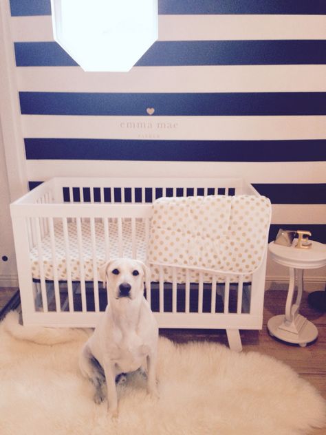 Kate Spade nursery Kate Spade Nursery, Kate Spade Inspired, Living Place, Girls Nursery, Baby Ideas, Nursery Ideas, Nurseries