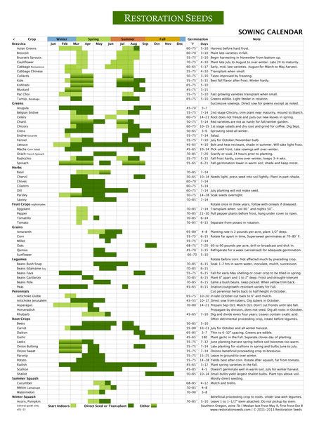 Garden sowing guide and companion planting guide. Sowing Calendar, Vegetable Planting Guide, Growing Calendar, Companion Planting Guide, Tomatoes In Containers, Flower Planting, Companion Gardening, Planting Calendar, Annual Garden