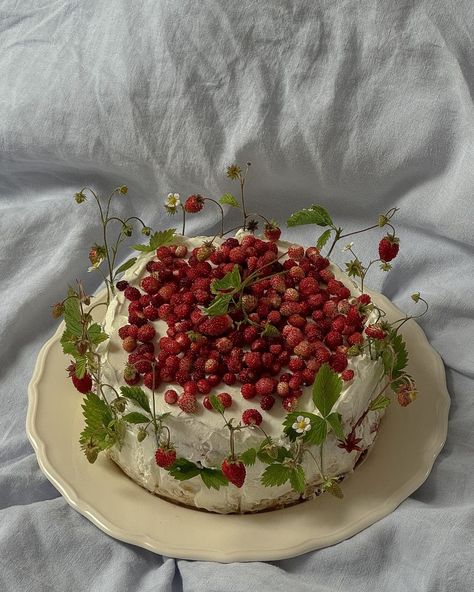 Dominika Brudny | lovely summer cake with wild strawberries 🍓🍓🍓 #cake #summercake #prettycake #tort #ciasto #wildstrawberry #poziomki #aesthetic #ａｅｓｔｈｅｔｉｃ… | Instagram Flower Cake Design, Wild Strawberry, Summer Cakes, Wild Strawberries, Cute Desserts, Tea Cakes, Strawberry Cake, Pretty Cakes, Cute Cakes