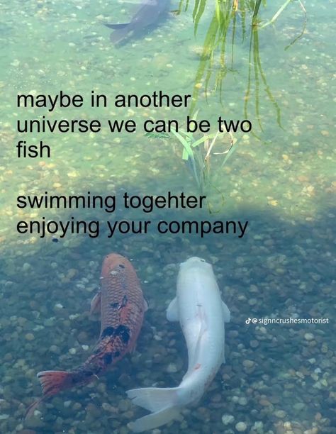 Maybe In Another Universe, In Another Universe, Tv Static, Another Universe, Unspoken Words, Two Fish, Fish Swimming, Silly Me, Love You Forever