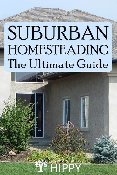 Homesteading In The Suburbs, Acre Homestead, Modern Homesteading, Homestead Life, How To Make Compost, Homestead Ideas, Homesteading Skills, Plant Hacks, Watering & Irrigation