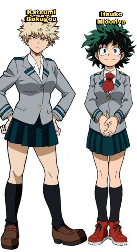 Bnha Genderbend Bakugou, Fem Bkdk, Kacchan And Deku, Mha Genderbend, Next Avengers, Anime Motorcycle, My Hero Academia Tsuyu, Star Wars Facts, Black Clover Anime