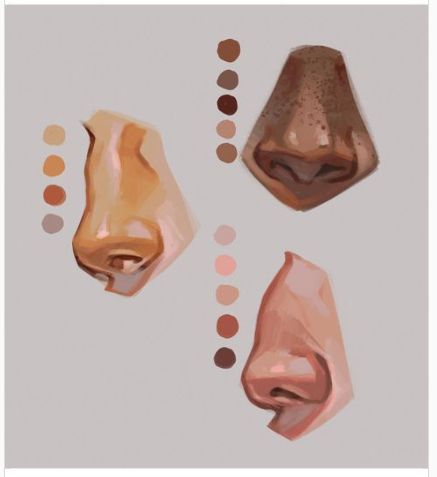 Study Sheet, Artist Tutorials, Nose Drawing, Nose Shapes, Art Tools Drawing, Digital Painting Tutorials, Art Refs, Anatomy Art, Art Poses