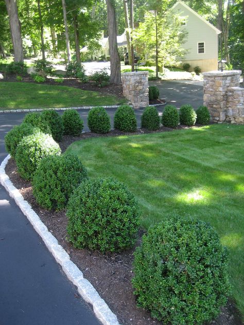 Weston Country Retreat - Traditional - Landscape - New York - by Northeast Horticultural | Houzz Lining Driveway With Plants, Traditional Front Landscaping, Parking Strip Landscaping Curb Appeal, Straight Driveway Landscaping, Shrub Lined Driveway, Landscape Ideas For Large Property, Grey House Landscaping Ideas, Landscaping By Driveway, Wooded Driveway Landscaping