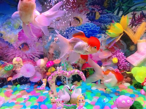 Kawaii Goldfish, Cute Fish Tank, Tropical Core, Fish Aquarium Decorations, Fish Tank Themes, Goldfish Tank, Robot Party, Coconut Dream, Tank Decoration