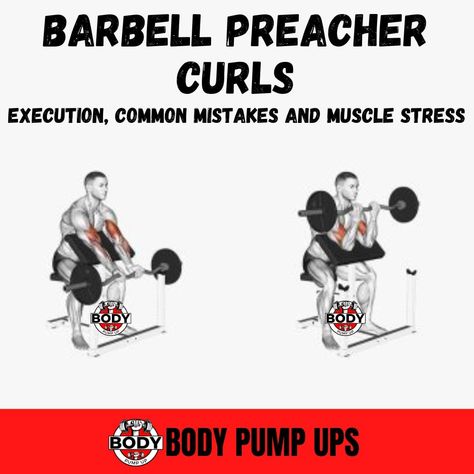 Preacher curls with a seated EZ bar 

EZ-bar preacher curl is one of the most effective arm building exercises you can incorporate into your arm workout program. EZ-bars have an undulating middle section which allows a semi-supinated grip. Z-bar reduces the strain on your wrists. This allows the biceps to be effectively isolated while using a joint-friendly grip. Therefore, it allows you to have a healthier workout.

Follow me @bodypumpup 
Follow me @bodypumpup

#bodypumpup #bodyfitness Fitness Hacks, Preacher Curls, Body Pump, Biceps And Triceps, Workout Program, Healthy Fitness, Arm Workout, Workout Programs, Fitness Tips